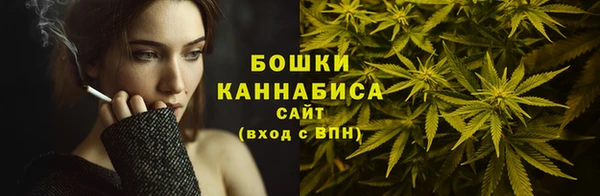 spice Богородицк