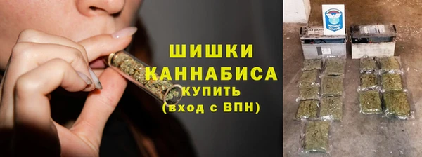 spice Богородицк