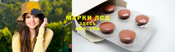 spice Богородицк