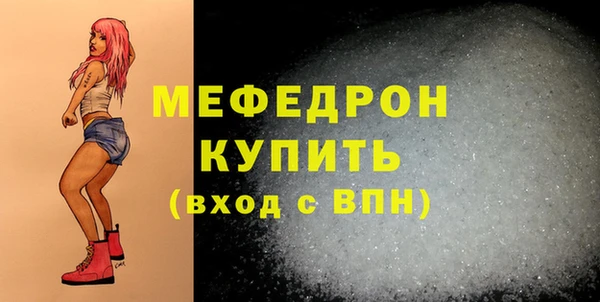 spice Богородицк
