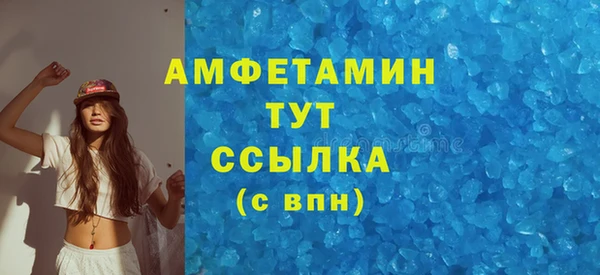 spice Богородицк