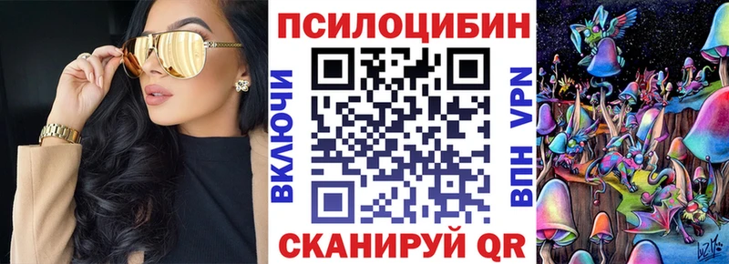 Псилоцибиновые грибы Psilocybe  Котельниково 